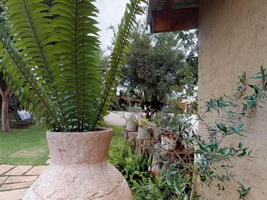 Cradle Valley Boutique Guesthouse Muldersdrift Exteriér fotografie