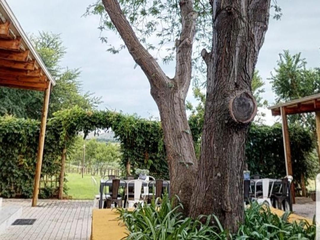 Cradle Valley Boutique Guesthouse Muldersdrift Exteriér fotografie